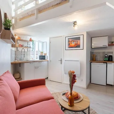 Apartamento Duplex Croix Rousse Avec Vue Sur Fourviere Lyon
